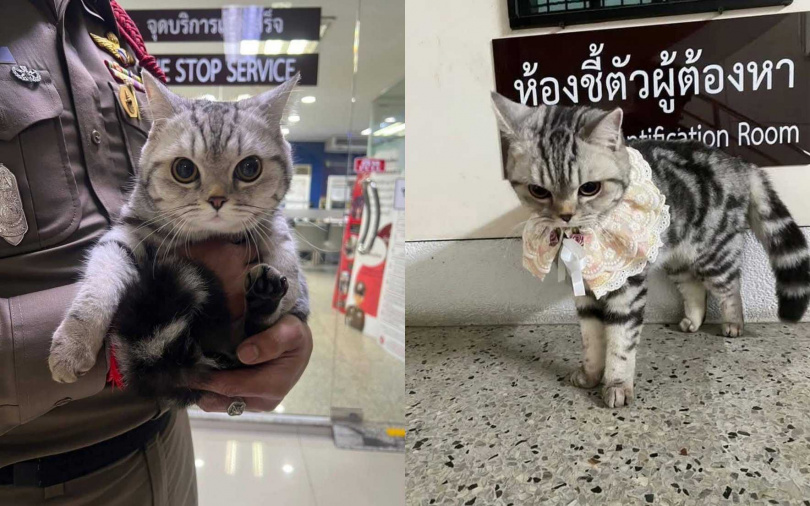 （圖／取自Stay in Thailand粉絲團）