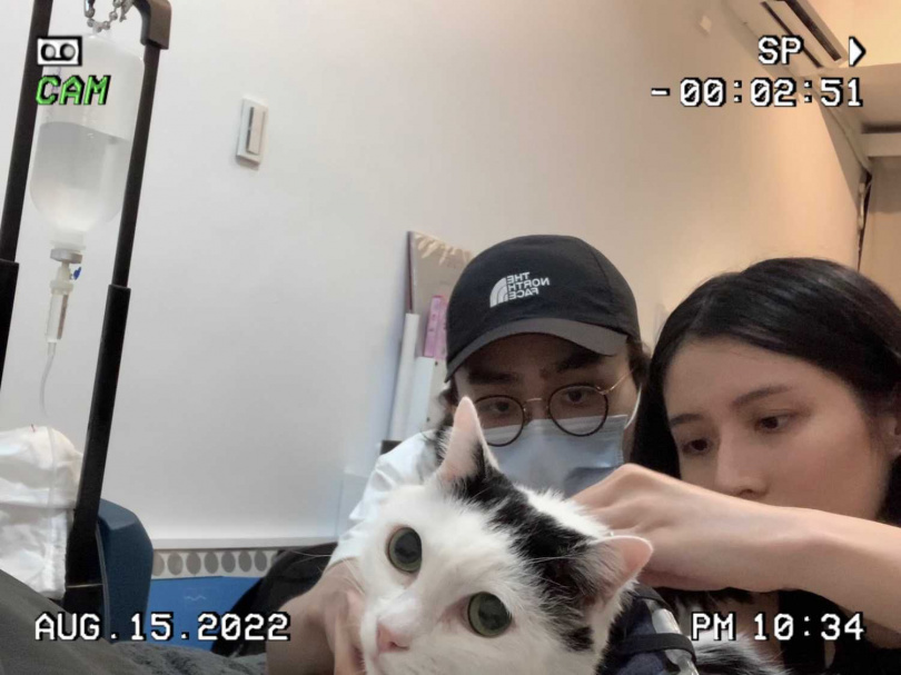 已經12歲的福田曾出現黃疸症狀，在鶴The Crane與女友照顧下恢復健康。（圖／鶴The Crane提供）