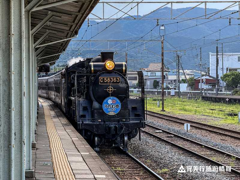 （圖／品牌提供）