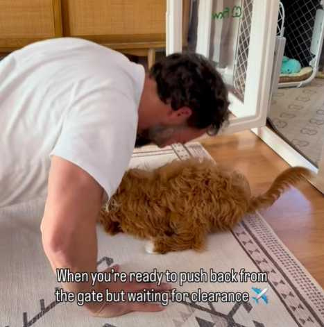 主人做伏地挺身，狗狗卻跑來搗亂。（圖／翻攝自臉書）