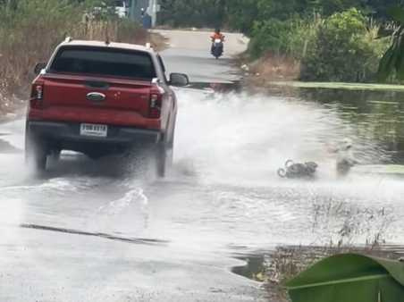 狗狗在生活中找樂子。（圖／翻攝自臉書）