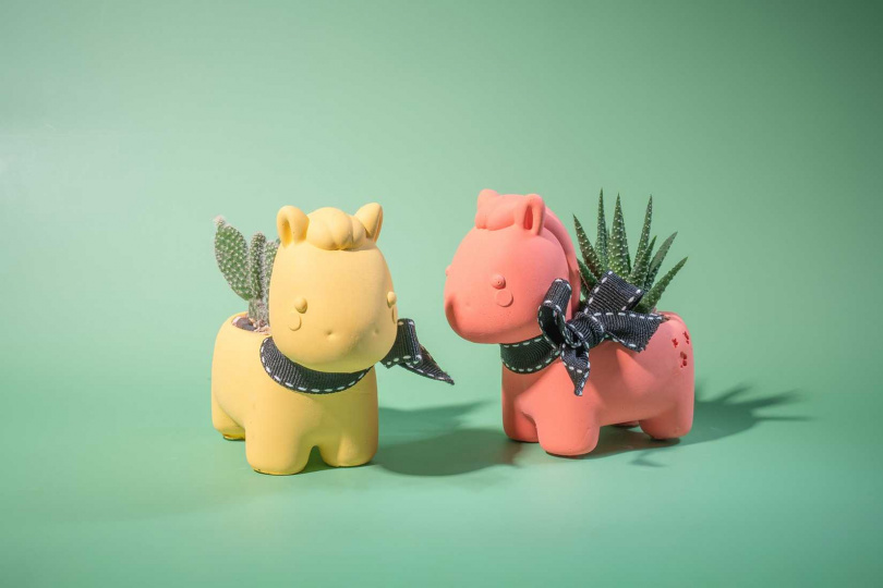 擴香石多肉／622元（圖／Pinkoi）