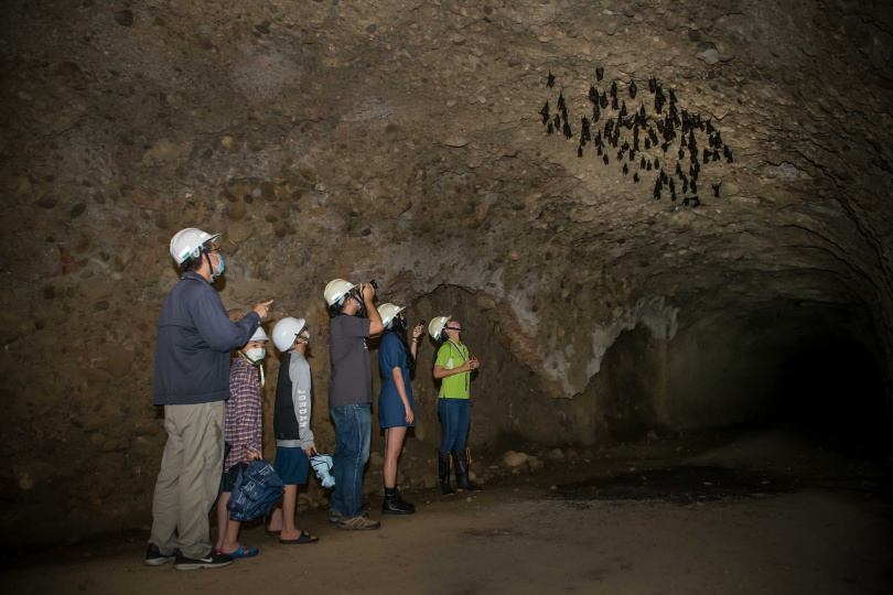 十八羅漢自然生態保護區內的隧道生態豐富，有雨燕或蝙蝠生態可觀察，路程平坦沁涼，適合溽暑造訪。(圖片提供／勞動部勞動力發展署高屏澎東分署)