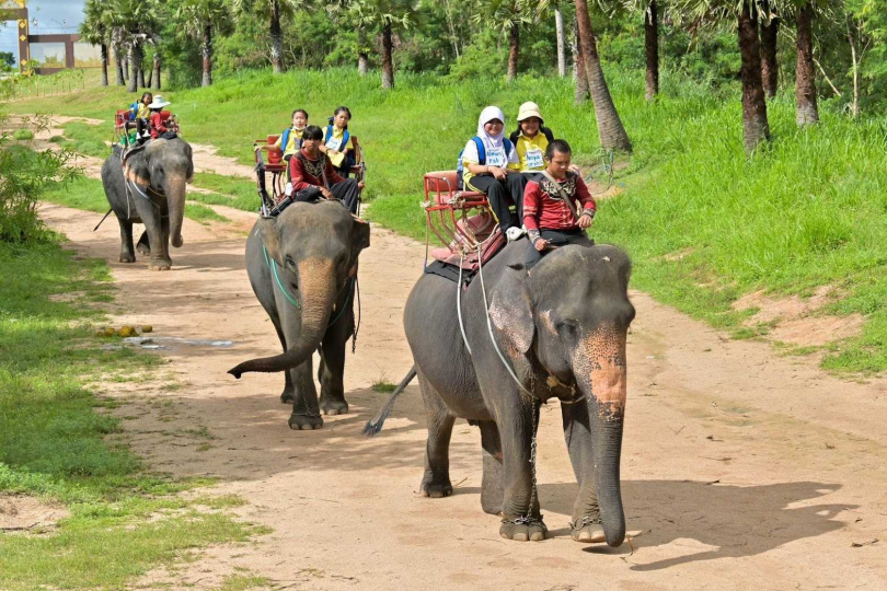 參加泰國潑水節、騎大象