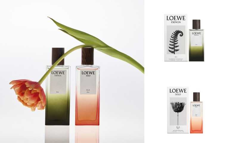 LOEWE獨奏宣言女士濃香精 50ml/6,935元、100ml/10,000元、LOEWE黑色圓舞曲男士濃香精 50ml/6,935元、100ml/10,000元。 （圖／品牌提供）