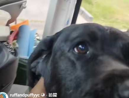 （圖／翻攝自臉書）