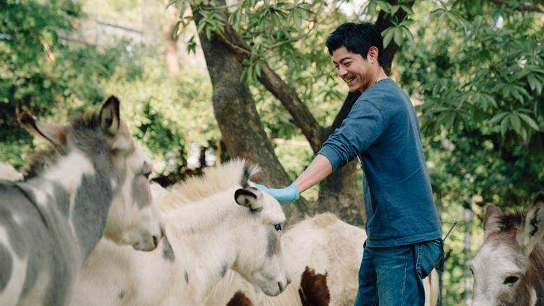 （圖／Disney+提供）