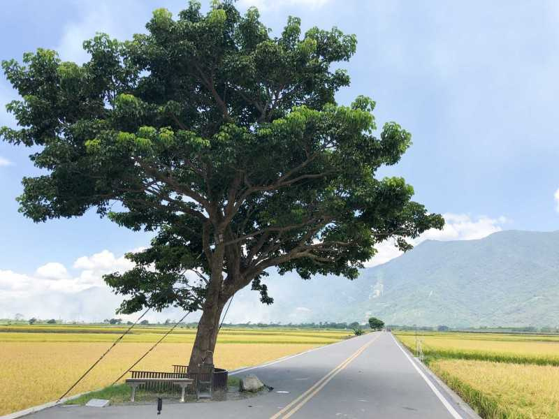 圖片來源:tour.taitung.gov.tw