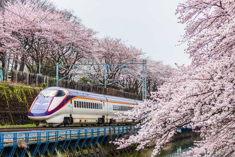 霞城公園位於交通便利的山形市中心，是日本百大名城之一的山形城遺址，也是山形首屈一指的賞櫻勝地。