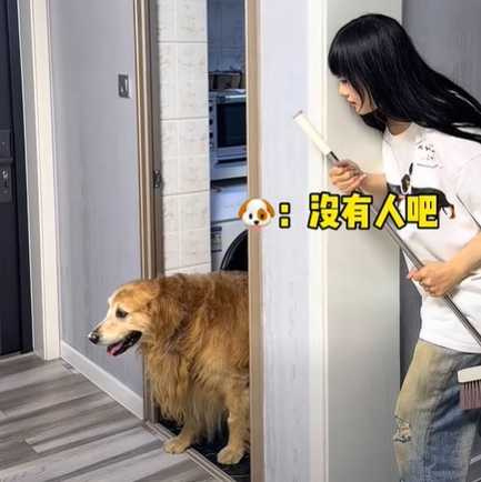 狗狗感受到廚房門口有殺氣。(圖/翻攝自臉書)