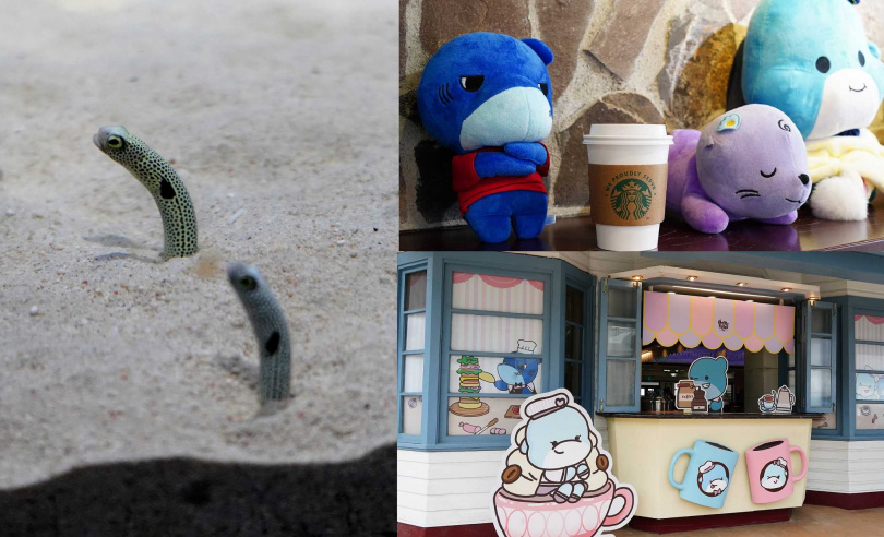 燈塔咖啡屋推出星巴克咖啡與各種Ocean Friend可愛造景（右上、右下），左為人氣明星花園鰻。