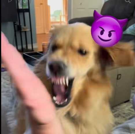 阿金看到爸媽反應大不同。(圖/翻攝自臉書)