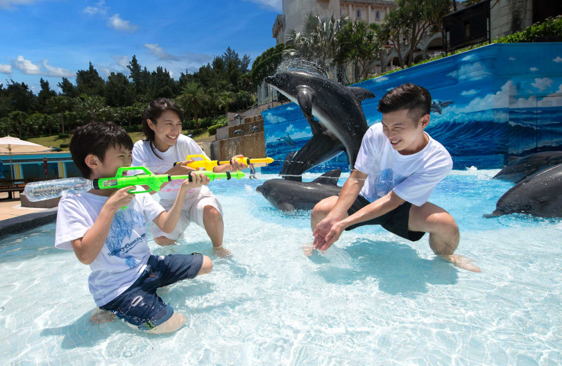 遠雄海洋公園，海豚三D戲水池，全台唯一的海豚3D立體彩繪背景，立體海豚雕塑於戲水池中，清涼消暑之外，還能身歷其境，置身於海豚當中。