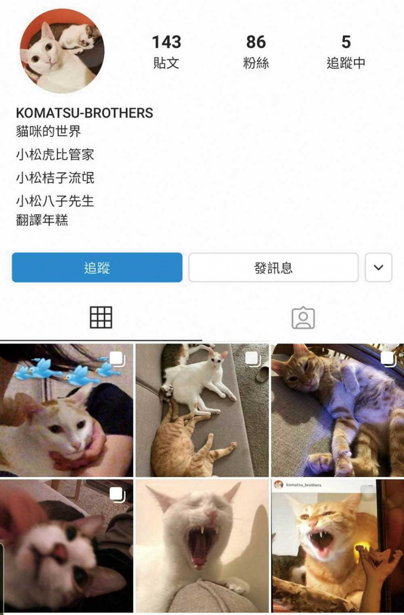 古靈精怪的王渝萱，替三兄弟開設IG帳號，還模擬貓咪的視角及語氣，寫下牠們的心情。（圖／王渝萱提供）