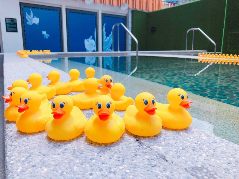 位於一樓的「澐露天風呂」則規劃了成人池和兒童池，池中還有滿滿的黃色小鴨鴨，是超萌的打卡熱點。