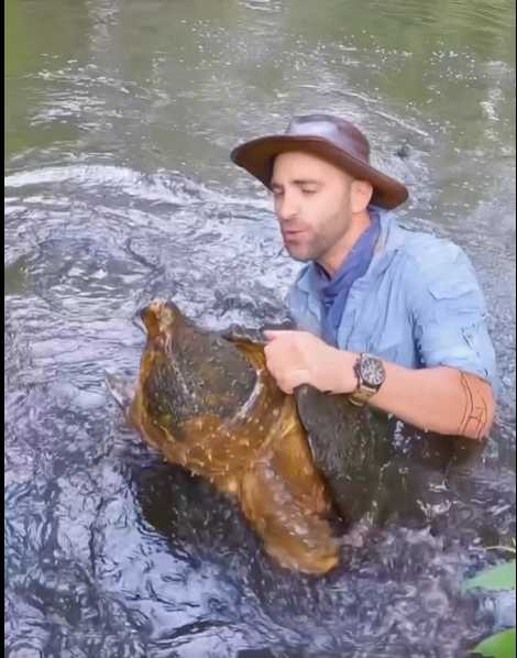男子跳下水抓鱷龜。（圖／翻攝自臉書）