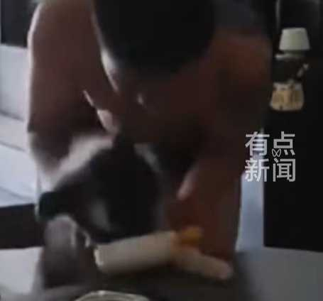 狗狗使出調虎離山跳上桌幹飯。(圖/翻攝自臉書)