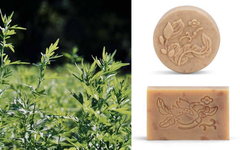 這份來自永續工廠的手作溫度，不僅承載著青草的香氣與能量，也凝聚著對土地的守護心意。（圖／品牌提供）