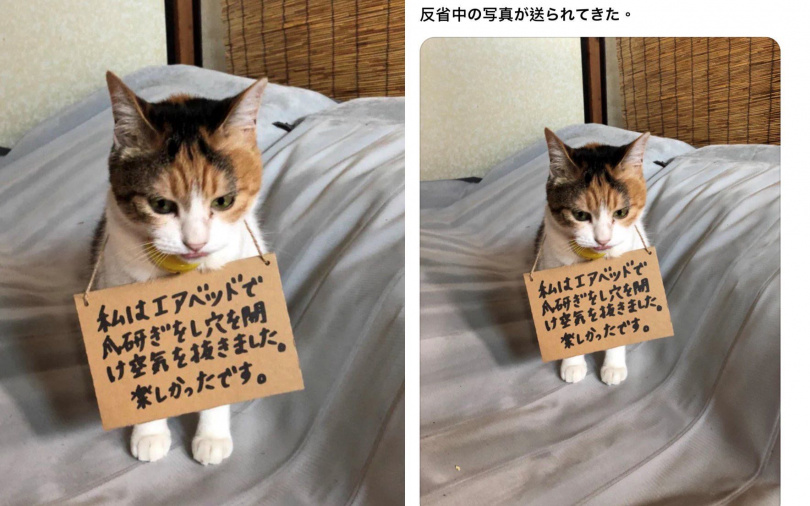 (圖/翻攝自X)