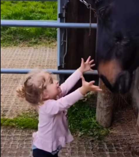 女孩和黑馬的互動好可愛。（圖／翻攝自臉書）