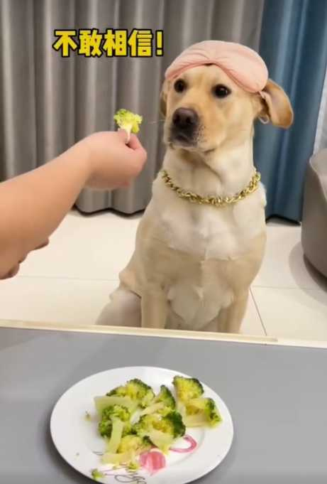 狗狗不愛吃蔬菜，主人一招搞定牠。（圖／翻攝自臉書）