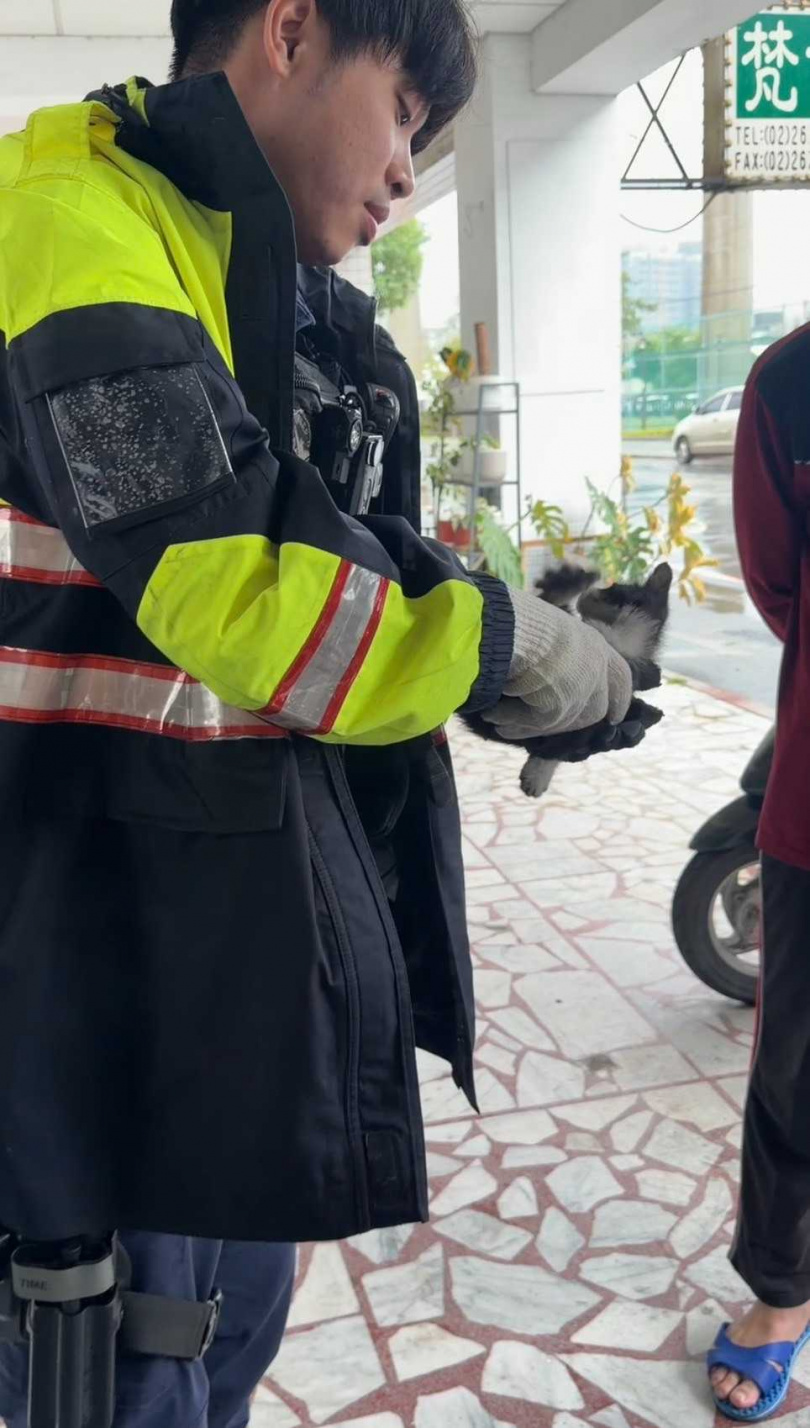 警察救出小貓後抱著牠輕哄,不斷鼓勵牠「你好棒」,畫面讓人動容。(圖/翻攝畫面)