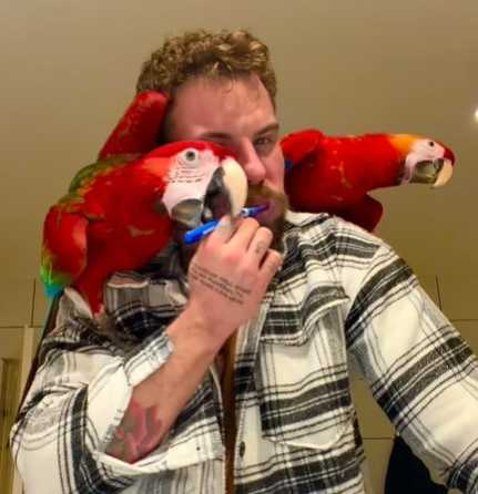 鸚鵡取代電動牙刷。(圖/翻攝自臉書)