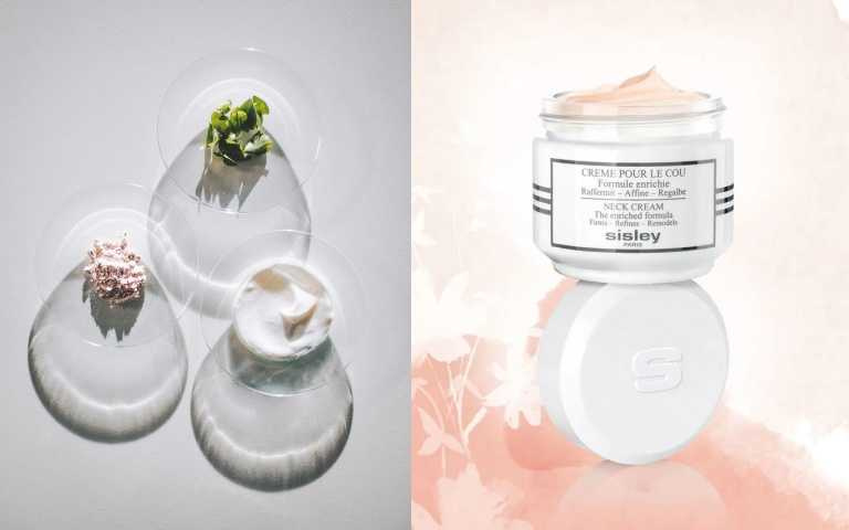 Sisley美頸霜–減齡滋養配方50 ml/5,600元(圖/品牌提供)。
