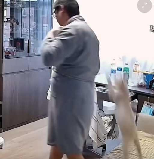 貓咪跳上人類的背,用指甲搞破壞。(圖/翻攝自臉書)