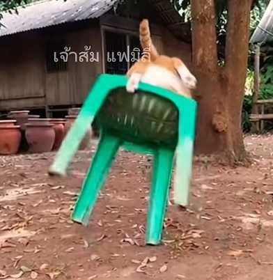 橘貓嘗試跳上塑膠椅結果大失敗。（圖／翻攝自臉書）