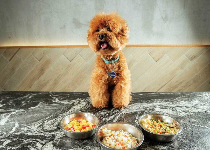 毛孩鮮食：運用少鹽、少油的料理原則，供應3款以健康出發的寵物餐，特別適合年紀大的狗狗享用。（圖／張祐銘攝）