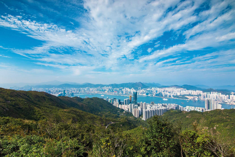 柏架山自然徑沿路有茂密林蔭，還可俯瞰香港都市美景。