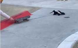 男子出手救臭鼬,結果超展開。(圖/翻攝自臉書)