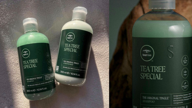 Paul Mitchell Tea Tree 茶樹洗髮精和潤髮乳,透過茶樹、薄荷與薰衣草精油打造經典沁涼洗護體驗。(圖/品牌提供)