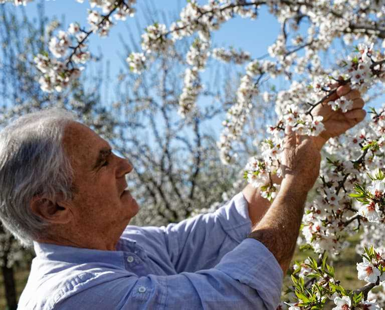 L’OCCITANE與當地栽種商展開杏樹復育計劃（圖／歐舒丹提供）
