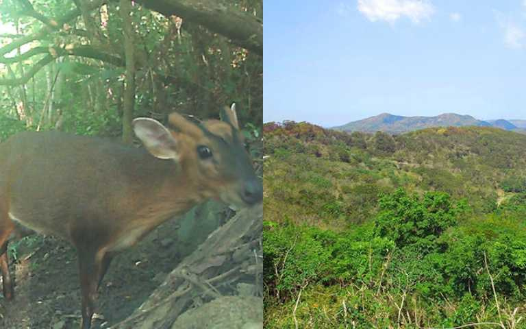 L’OCCITANE與與永在林業的合作保護台灣生物多樣性（圖／ 永在林業提供）