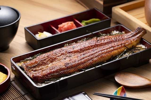 一本鰻|6 月 6 日至 6 月 12 日慶開幕連續七日,一本鰻便當半價優惠$ 395 元(原價$ 790 元)限量供應每日30份。(圖/大江戶町提供)