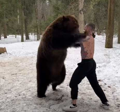 艾力克斯與熊的互動。（圖／翻攝自臉書）