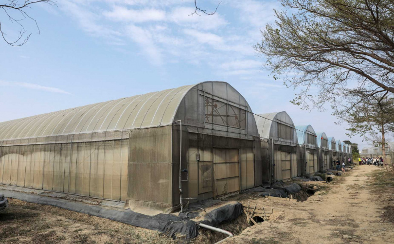 時生永續農場內的溫網室設施規模達3公頃。