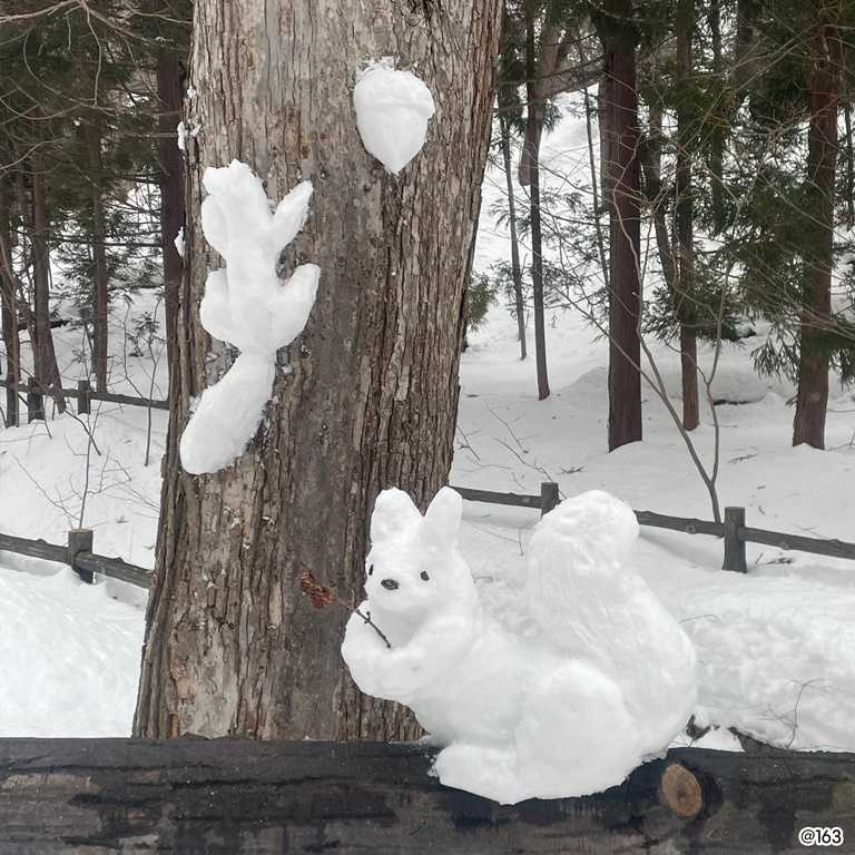 「白雪藝術之森 夜間點燈活動」，可以在充滿白雪藝術品的森林中，享受雪與光交織的夢幻美景。在活動期間，「札幌羊之丘展望台」的夜間開放也是一大焦點。  