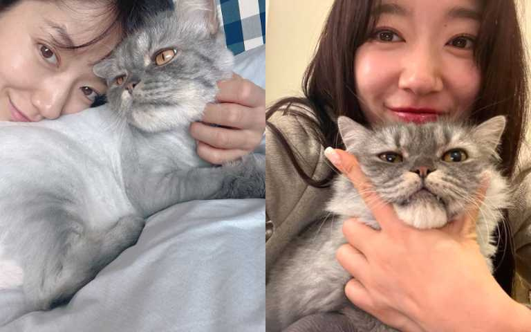 （圖／取自 ssinz7 IG）