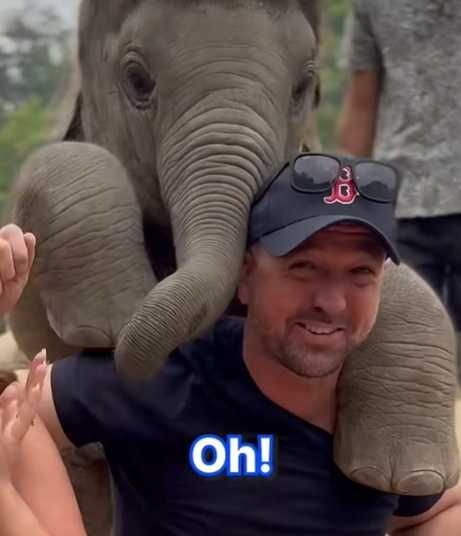 小象找男子討背背。（圖／翻攝自臉書）