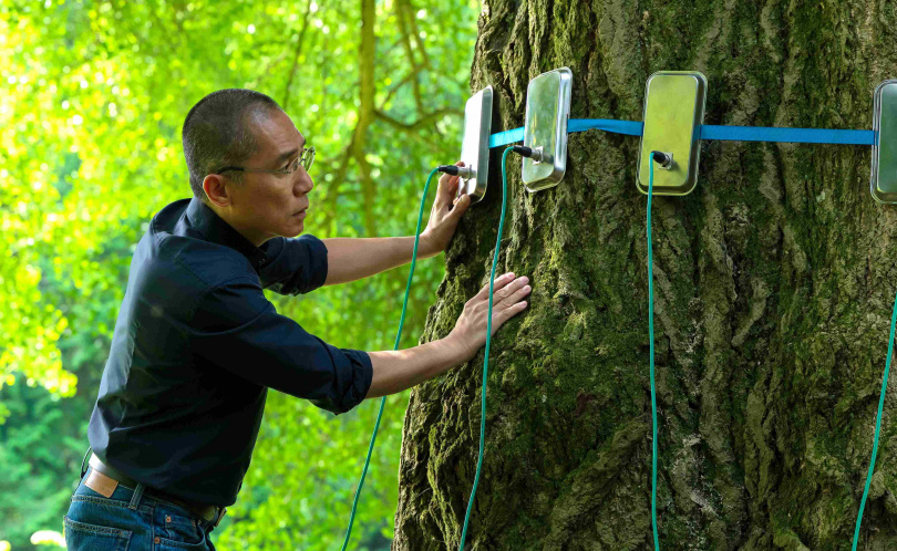 梁朝偉首度演出歐洲電影《你是不會當樹嗎》榮獲威尼斯影展國際影評人費比西獎等6獎。（圖／海鵬提供）