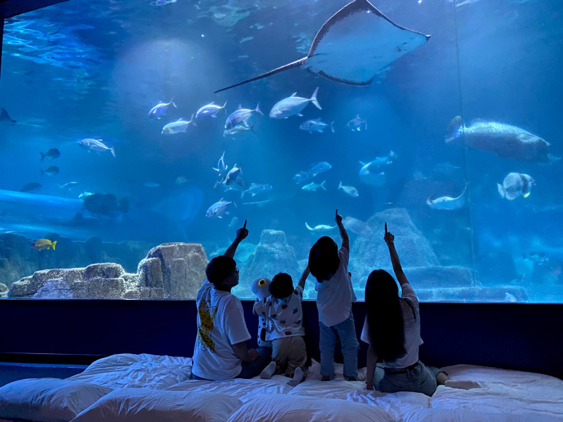 遠雄遊憩休閒事業旗下雙品牌「高雄洲際酒店」與「遠雄海洋公園」周年同慶，將於11、12月推出一系列優惠活動。