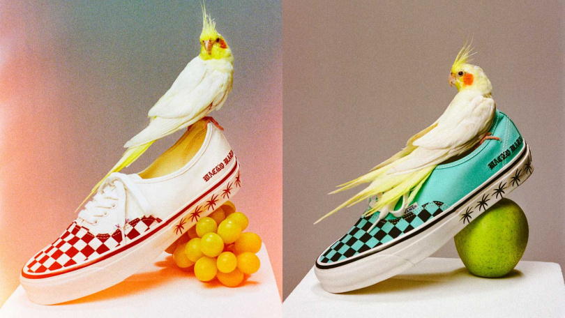 Vans x WACKO MARIA Authentic鞋款（圖／品牌提供）