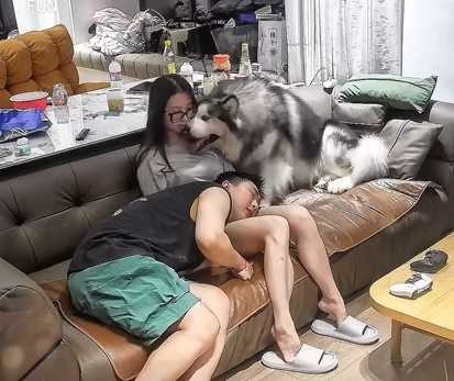 狗狗與男主人的爭寵大戰。（圖／翻攝自臉書）