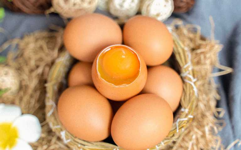 My egg 我的蛋香濃無腥味，今年推出周年慶方案感謝一路支持我們的消費者。（圖／My egg提供）