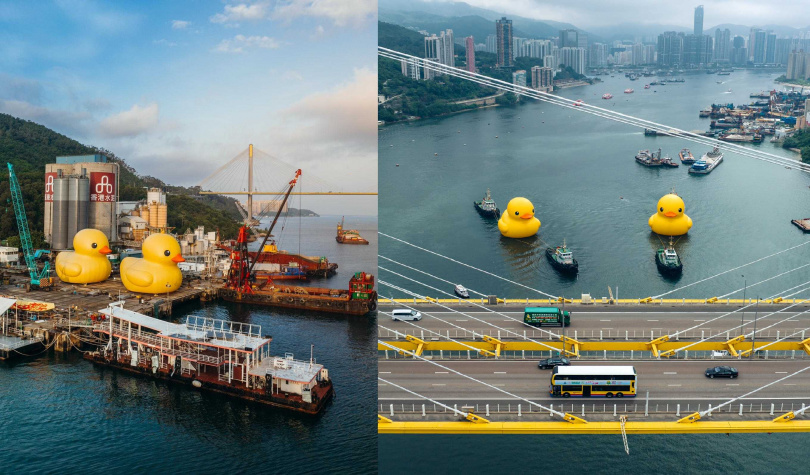 黃色小鴨出現在香港青衣附近水域，在汀九橋及青馬大橋的襯托下畫面特別有趣。（圖／AllRightsReserved提供）