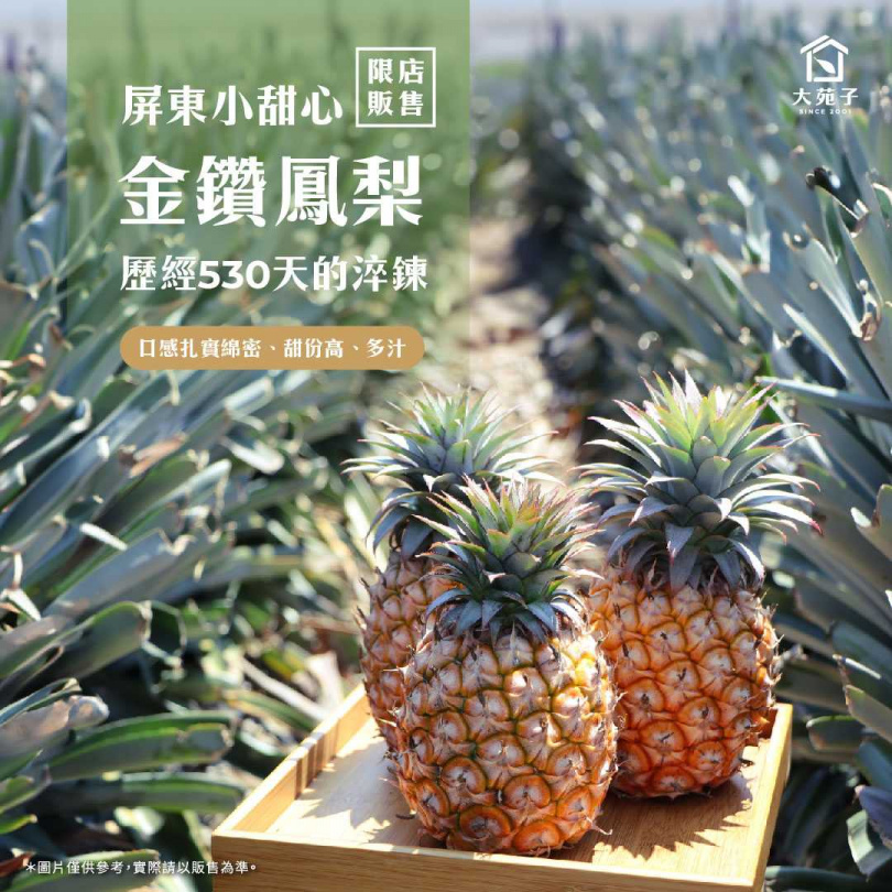 來自台灣最南端屏東的「小甜心金鑽鳳梨」在大苑子限定門市也能購買囉！