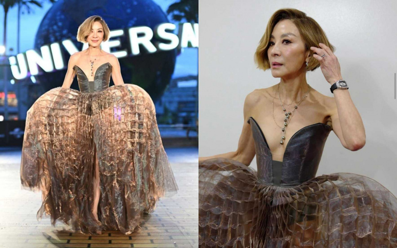 （圖／取自楊紫瓊IG、irisvanherpen IG）